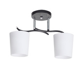 Lampa sufitowa Esnyr ze szklanymi kloszami 2-punktowa do salonu